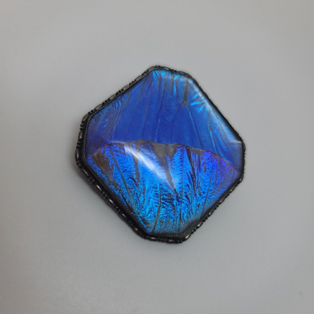 Vintage Butterfly Wing & Sterling Brooch